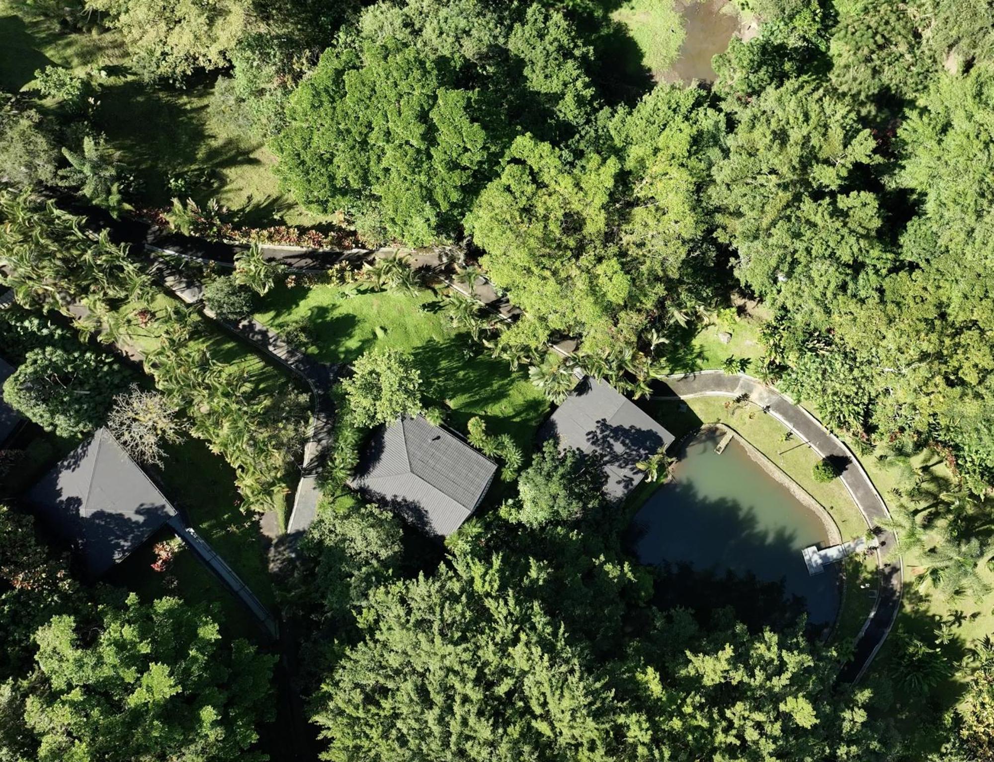 Hotel Rio Perlas Spa&Resort Cartago Exterior foto